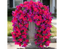 Faux Hanging Flowers